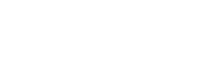 Business Web Solutions